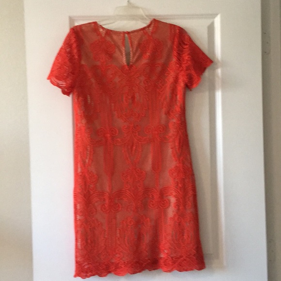 Skies Are Blue Lace Dress - Picture 2 of 3